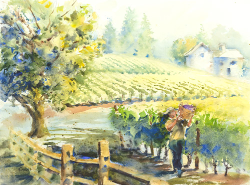 watercolor of a vineyard in sunlight by Tim Gault
