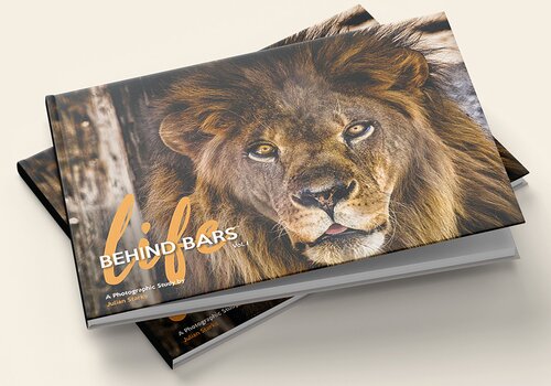 wildlife photography book by Julian Starks