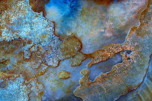 Oyster shell macrophotography by Debbie Brady