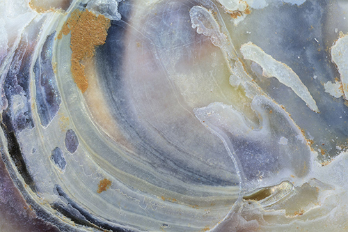 Macro photography of an oyster shell by artist Debbie Brady