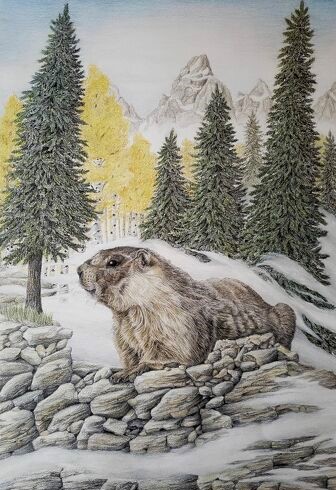 Northern landscape with groundhog in colored pencil by artist Brian Binder