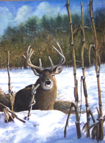 Watercolor of a rural scene with a buck by Carl McKinley