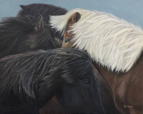Painting of Icelandic ponies by artist Pat Wattam