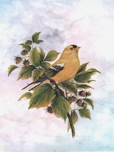 Watercolor painting of a goldfinch by Carl McKinley