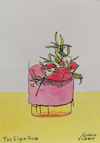 whimsical painting of a cocktail by Connie Vickers