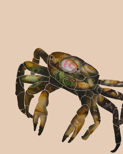 digital drawing of a crab by Vanessa Conroy