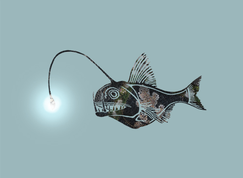 digital drawing of a lantern fish by Vanessa Conroy