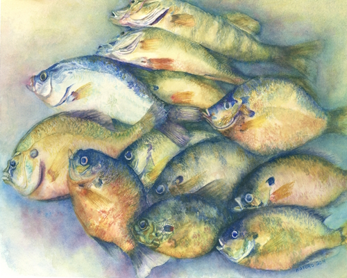 watercolor painting of a catch of fish