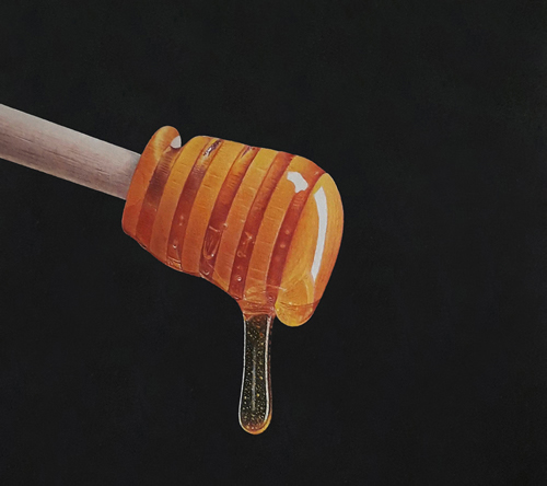 drawing of honey dipper colored pencil