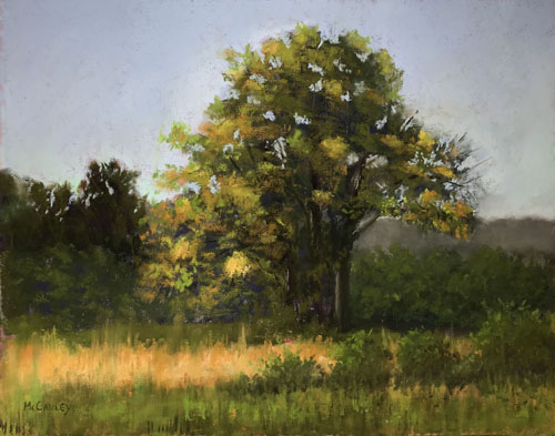 pastel painting of a tree in a meadow by Bill McCauley