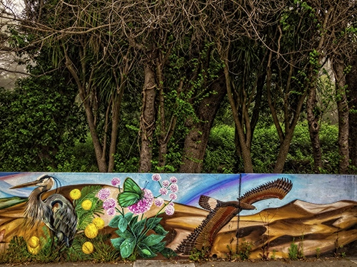Photo of a nature mural