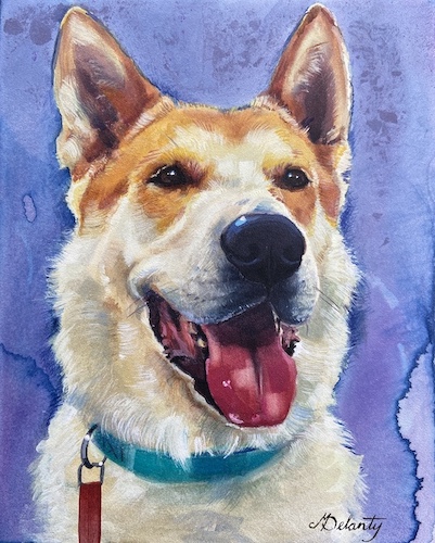 dog pet portrait