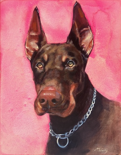 doberman pet portrait