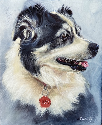 pet portrait of a border collie