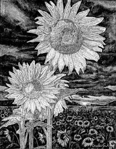 highly detailed pencil drawing of sunflowers