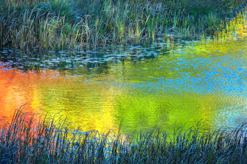 colorful fine art photo of a pond