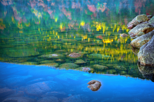 nature photography of a pond