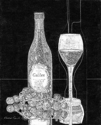 detailed pencil drawing of a bottle of wine and glass