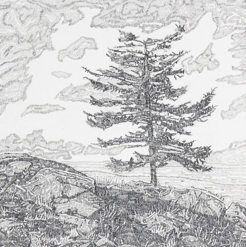 complex pencil drawing of a lone tree in a landscape