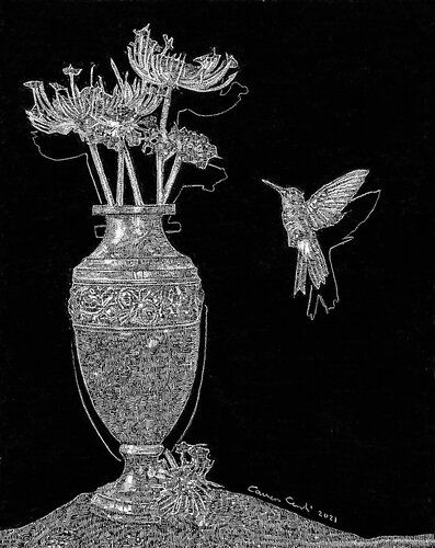 complex drawing of hummingbird and plant on black background