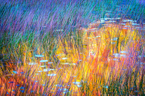 vibrantly colorful fine art photo of wetlands