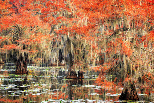 fine art photo of a fall day