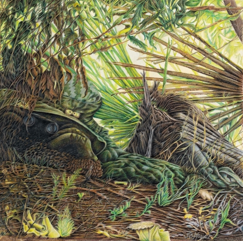 colored pencil drawing of a man hiding in woods