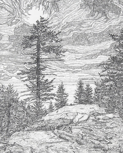 complex pencil drawing of a landscape