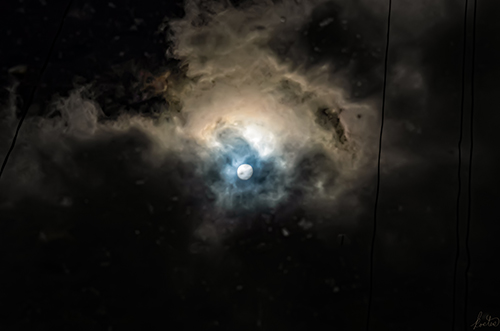 photo of a reflection of the moon in a rain puddle