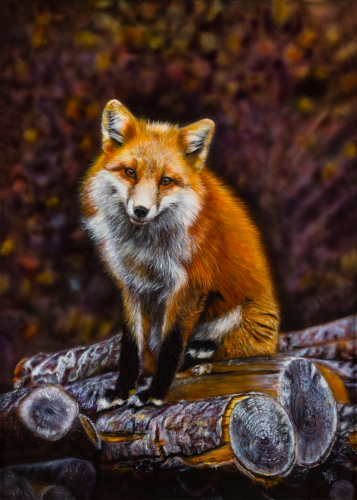 realistic portrait of a fox