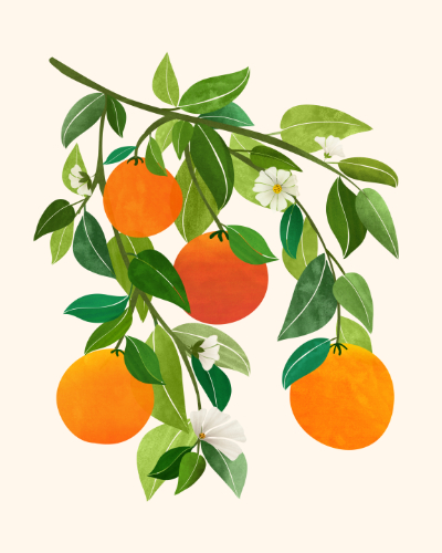 contemporary design orange blossoms