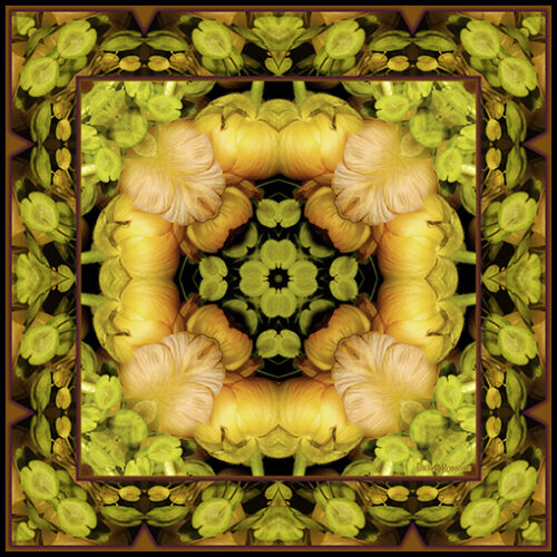 altered digital photography