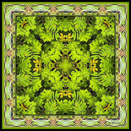 altered nature photography design