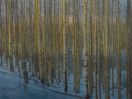 oil painting of an aspen forest in the late afternoon