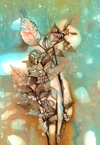 botanical art print of a walnut seedling