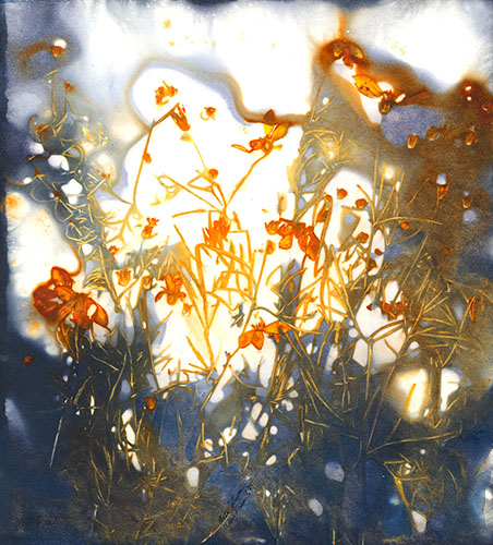 wildflower design art print