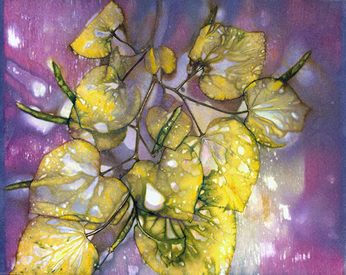 Echo art print of redbud flowers