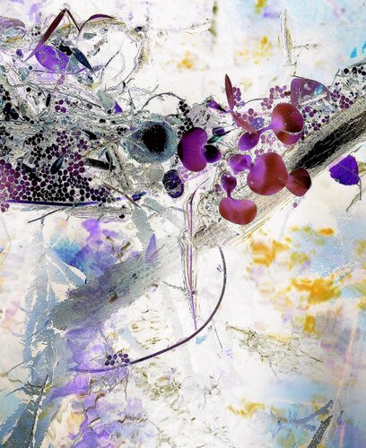 nature photo with reverse colors by John Hintz