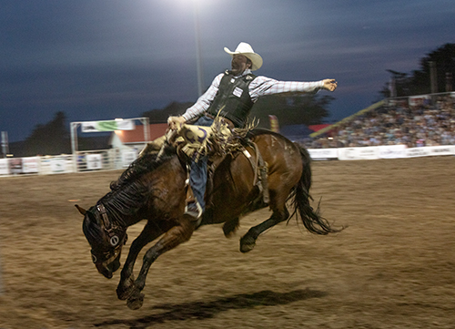 photo of a cowboy at a rodeo