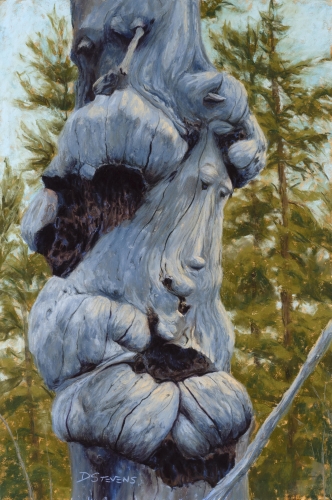 pastel painting of a twisted tree