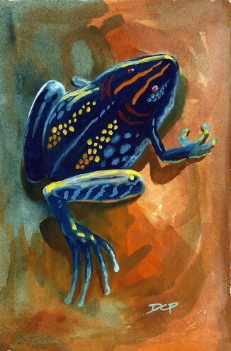 painting of a colorful New Mexico frog