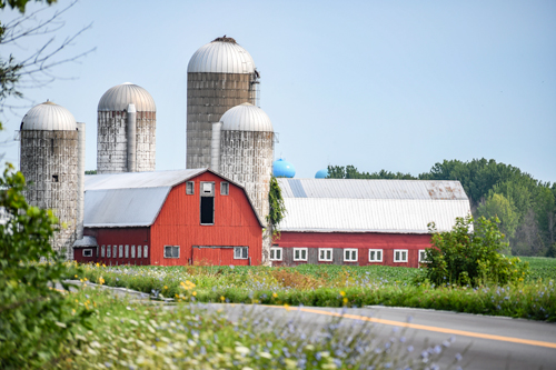 photograph of a farm