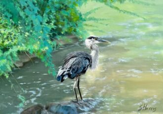 wildlife painting bird fishing in the water