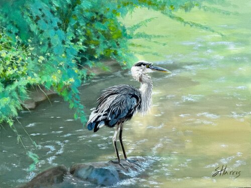 wildlife painting bird fishing in the water