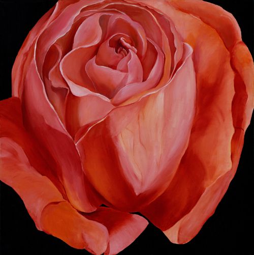 close-up painting of a rose