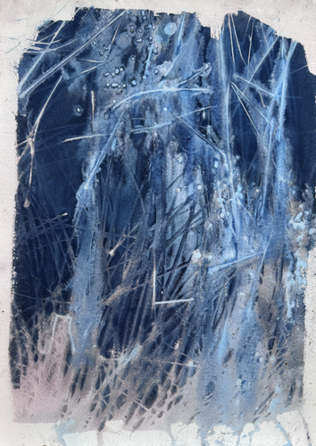 cyanotype print made from moorland grasses