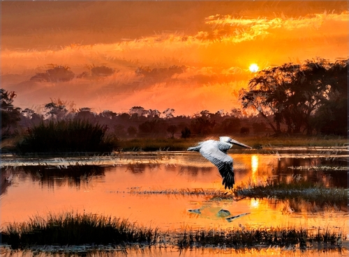 painting of pelicans on the water at sunset