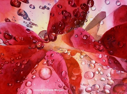 watercolor painting of rose with raindrops