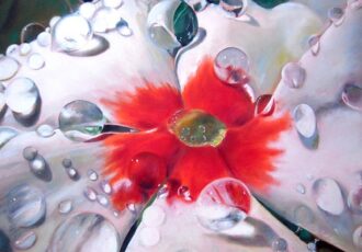 close-up painting of vinca flower