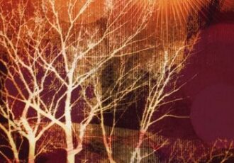 winter trees textile print